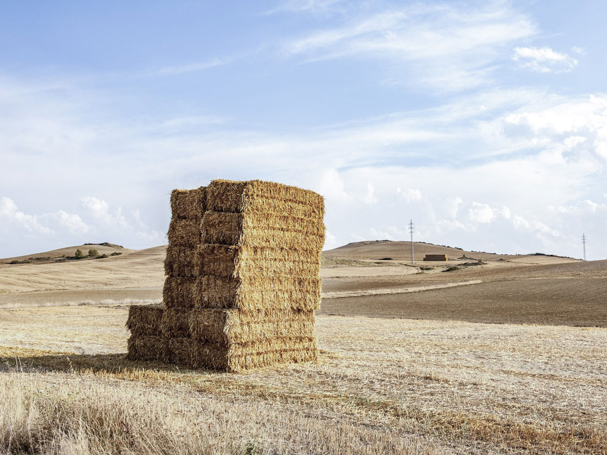 Arquitectura Sostenible y Bioconstrucción en Andalucía | La Barbotina